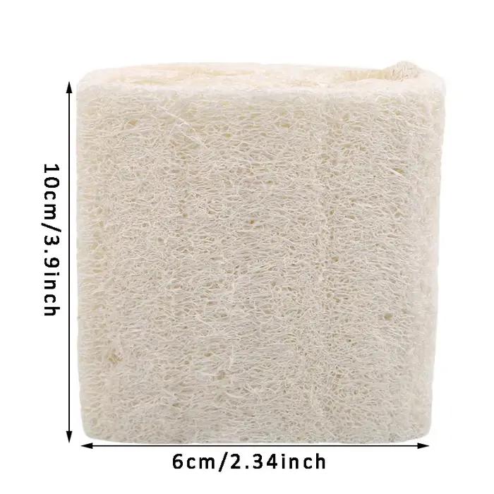 Éponge de lavage du corps en luffa naturel, Loofah organique, spa exexexpecant, élimination de la fr