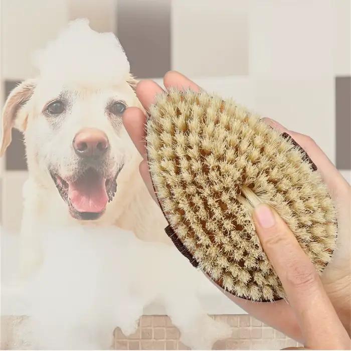 Brosse de bain en bois naturel à poils doux pour massage corporel humide ou sec